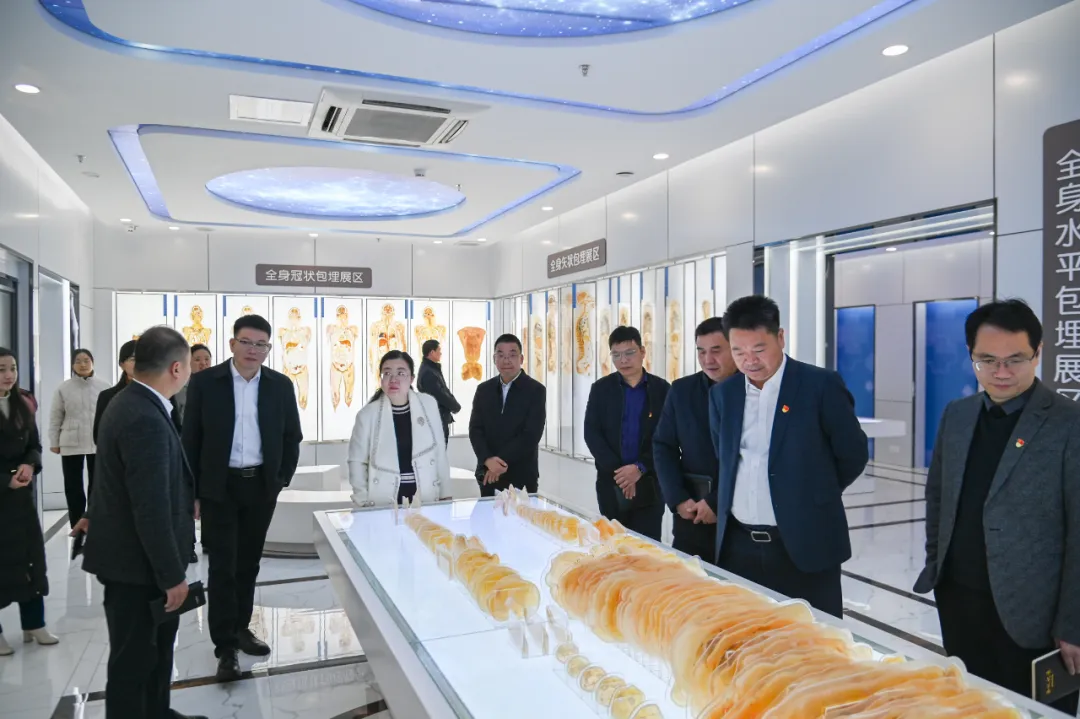黨建交流拓新局，校際攜手啟新篇 ——河源高級(jí)中學(xué)與我校共探黨建引領(lǐng)高質(zhì)量發(fā)展之路(圖1)