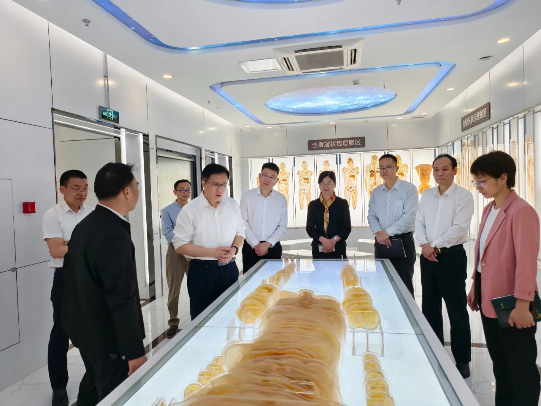 學習交流促提升，校際合作謀發(fā)展——河源職業(yè)技術學院來我校開展交流調(diào)研活動(圖1)