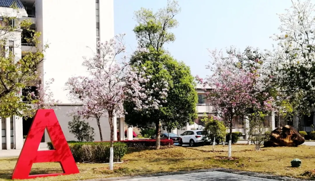花舞書聲間，春色已漫過整個校園(圖9)